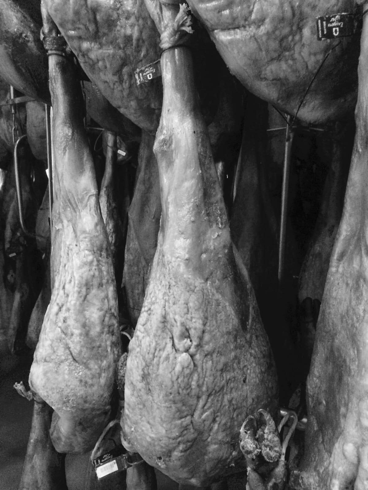 Jambons ibériques Gran Reserva Pata Negra en cours d'affinage en cave naturelle