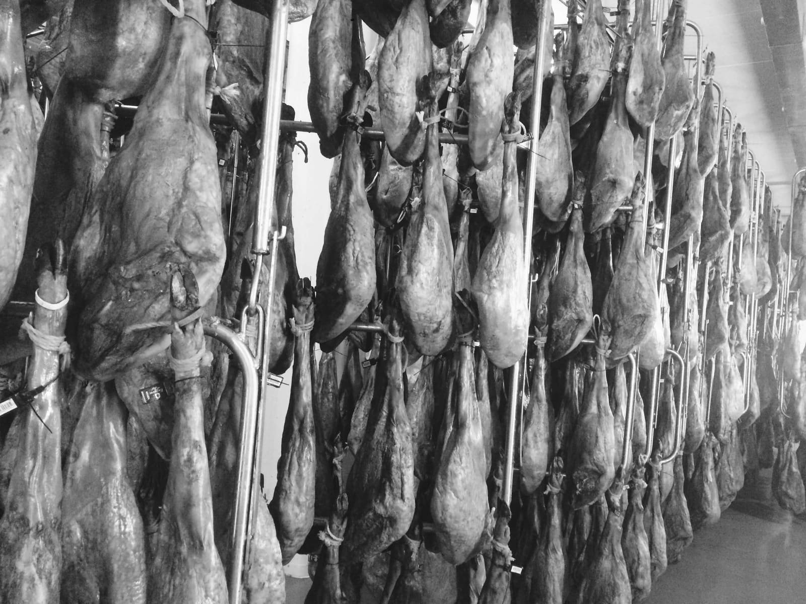 Texture des jambons ibériques pendant l'affinage, gros plan noir et blanc